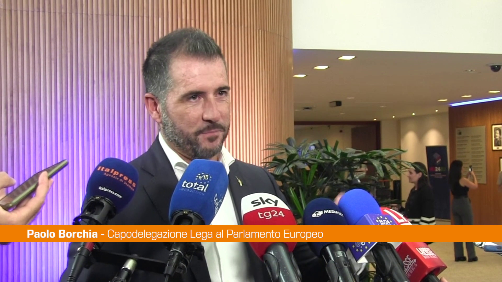 Ue, Borchia "Nel Rapporto Draghi mancano le soluzioni"