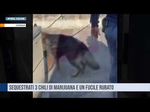 Catania