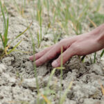 I cambiamenti climatici hanno impatti irreversibili
