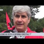 Palermo. Forestali, manifestazione unitaria dei sindacati