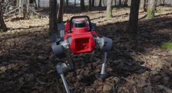 Robot, droni e IA per mappare le foreste. La ricerca di Unibz