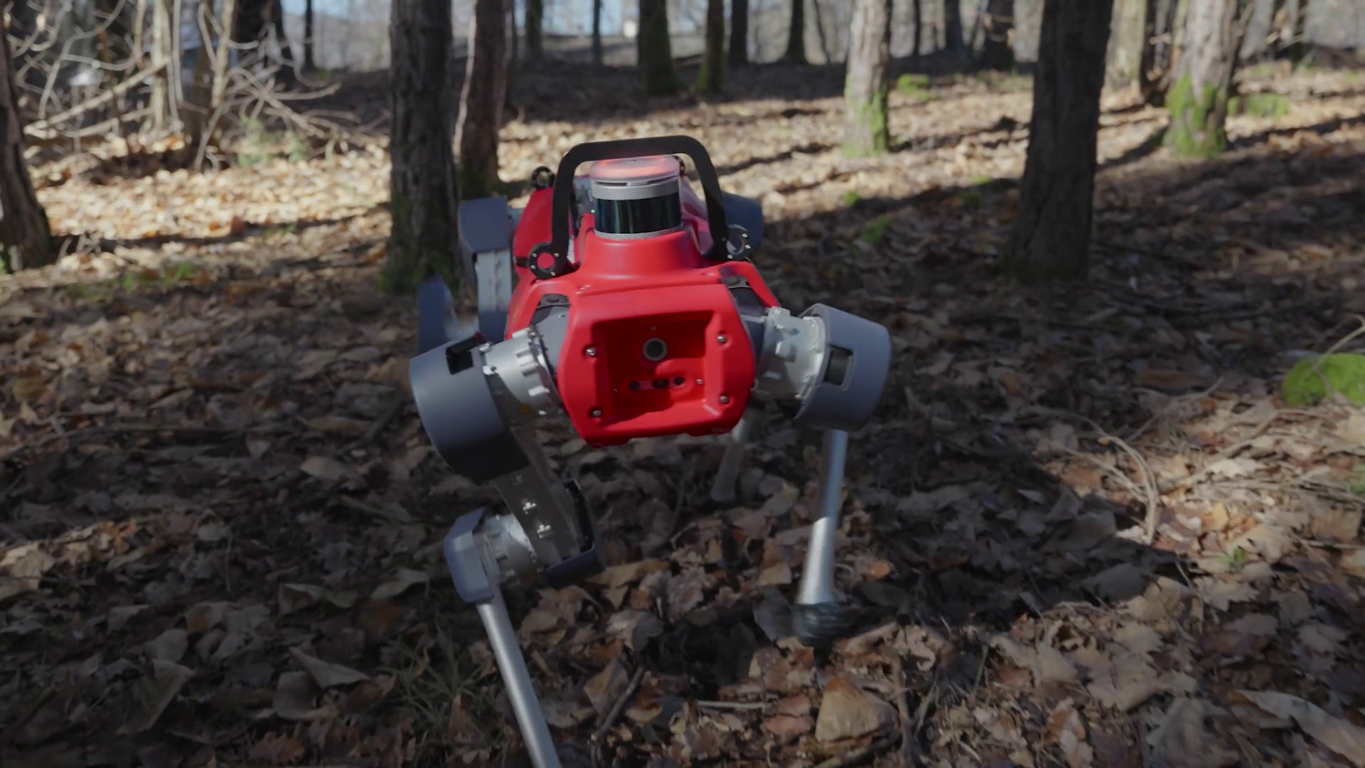 Robot, droni e IA per mappare le foreste