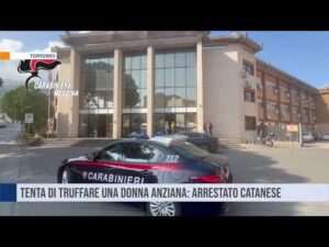 Tortorici