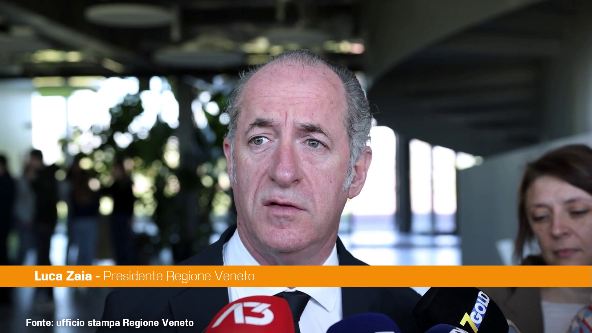 Zaia "Veneto Creators ci aiuterà a comunicare bellezze regione"