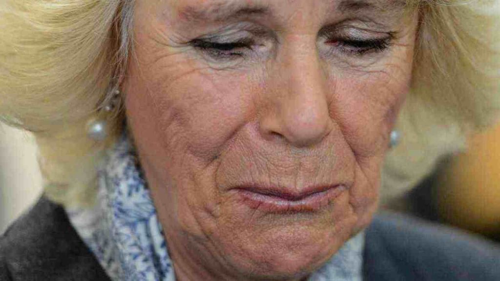 Camilla d'Inghilterra (foto adriatico24ore) - mediaoneonline.it