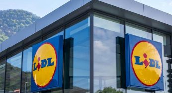 Lidl straccia Leroy Merlin: con poche centinaia di euro ti rifai il giardino o il terrazzo | Già stanno finendo le scorte