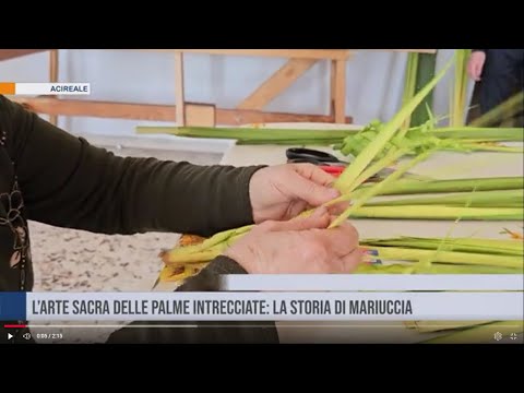 Acireale