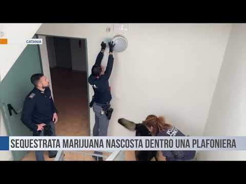 Catania