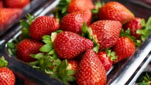 fragole (foto frosinonenews) - mediaoneoneline.it