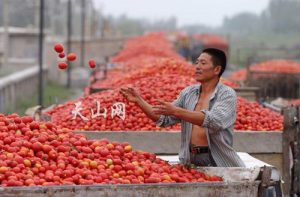 pomodoro-cinese (foto scattidigusto.it) - mediaoneonline.it