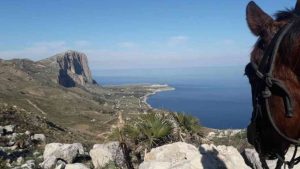 Sicilia Trapanese (foto cataniaoggi.it) - mediaoneonline.it