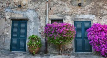 In questo piccolo borgo siciliano è sempre primavera: qui non c’è mai freddo pungente e non conosce nemmeno l’afa estiva