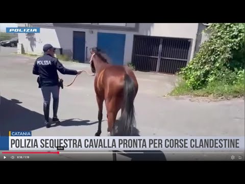 Catania