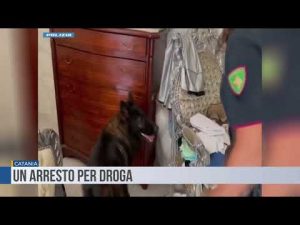 Catania