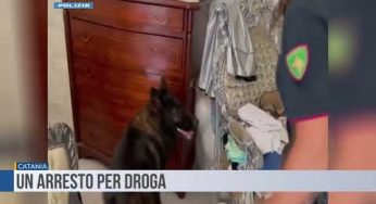 Catania. Trovato con la droga in casa, 54enne pregiudicato arrestato dalla Polizia Di Stato