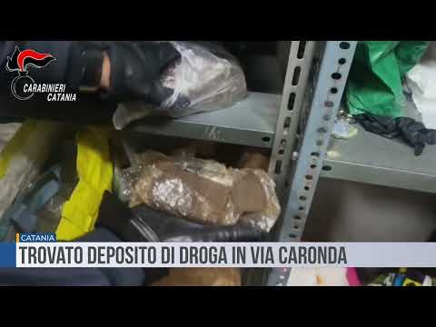 Catania