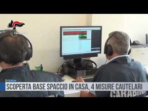 Cerda
