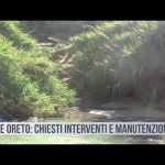 Palermo. Fiume Oreto: interventi e manutenzione