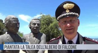 San Mauro Castelverde. Piantata la talea dell’albero di Falcone