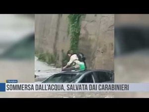 Trabia