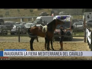 Militello Val di Catania