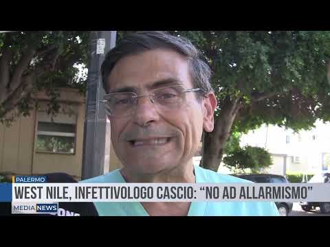 Medianews del 21 08 2025 seconda edizione