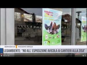 Palermo: Legambiente: “NO all’ esposizione avicola ai Cantieri alla Zisa”