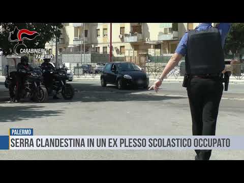 Palermo: Serra clandestina in un ex plesso scolastico occupato