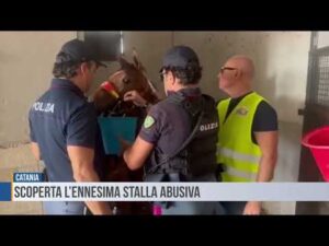 Catania: scoperta l’ennesima stalla abusiva
