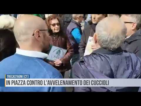 Trecastagni (Ct): in piazza contro l'avvelenamento dei cuccioli