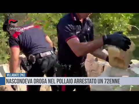 Villabate: nascondeva droga nel pollaio arrestato un 72enne
